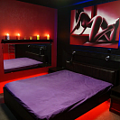 Золотой кролик